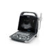 buy mindray dp-10 vet veterinary ultrasound machine