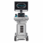 acuson n3x ultrasound