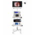 Complete veterinary endoscopic Surgical Suite