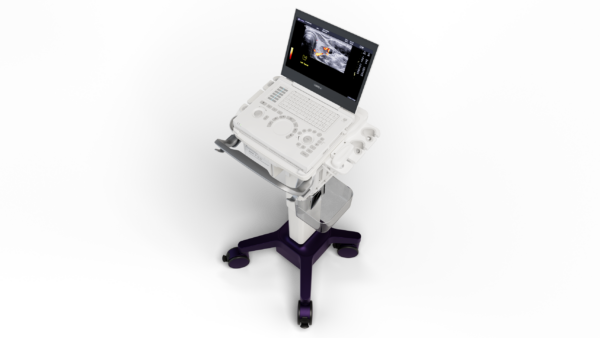 buy GE Healthcare LOGIQ e R9 portable ultrasound machine